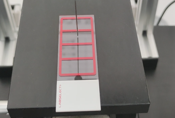 載玻片.png 載玻片.png