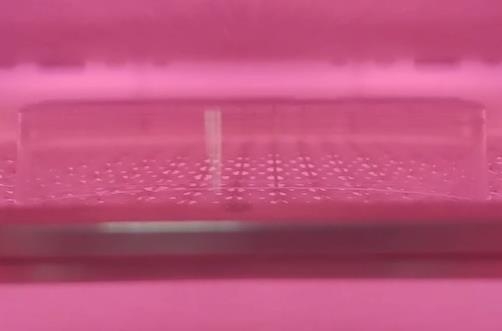 哔咔漫画APP下载免费表麵處理.jpg 哔咔漫画APP下载免费表麵處理.jpg