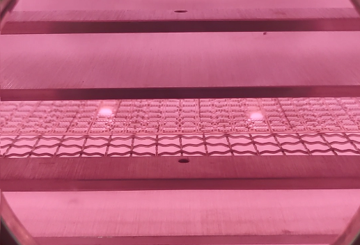 哔咔漫画APP下载免费活化器.png 哔咔漫画APP下载免费活化器.png