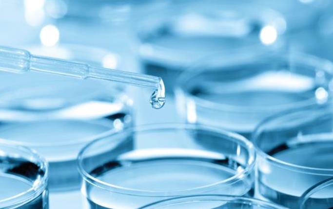 培養皿.jpg 培養皿.jpg