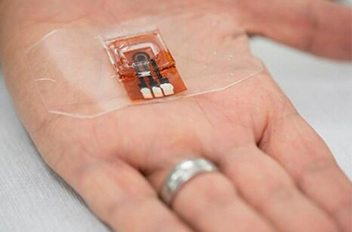 生物醫學 生物醫學